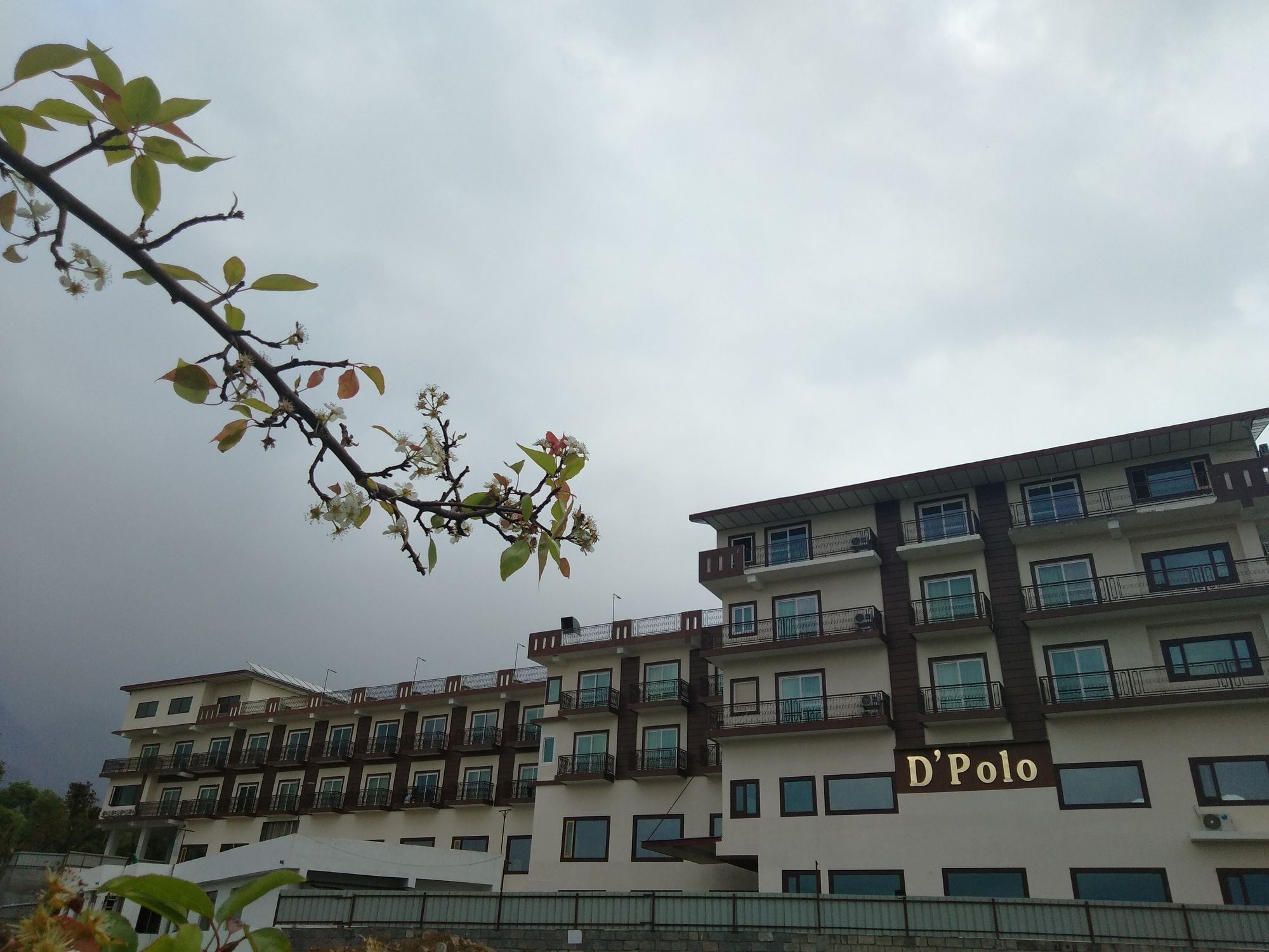 D'Polo Club & Spa Resort ダラムシャーラー エクステリア 写真